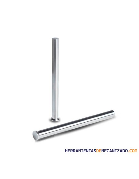 Punzón HSS DIN.9861 Forma "D" hasta Ø10