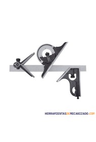 Transportador Combinado